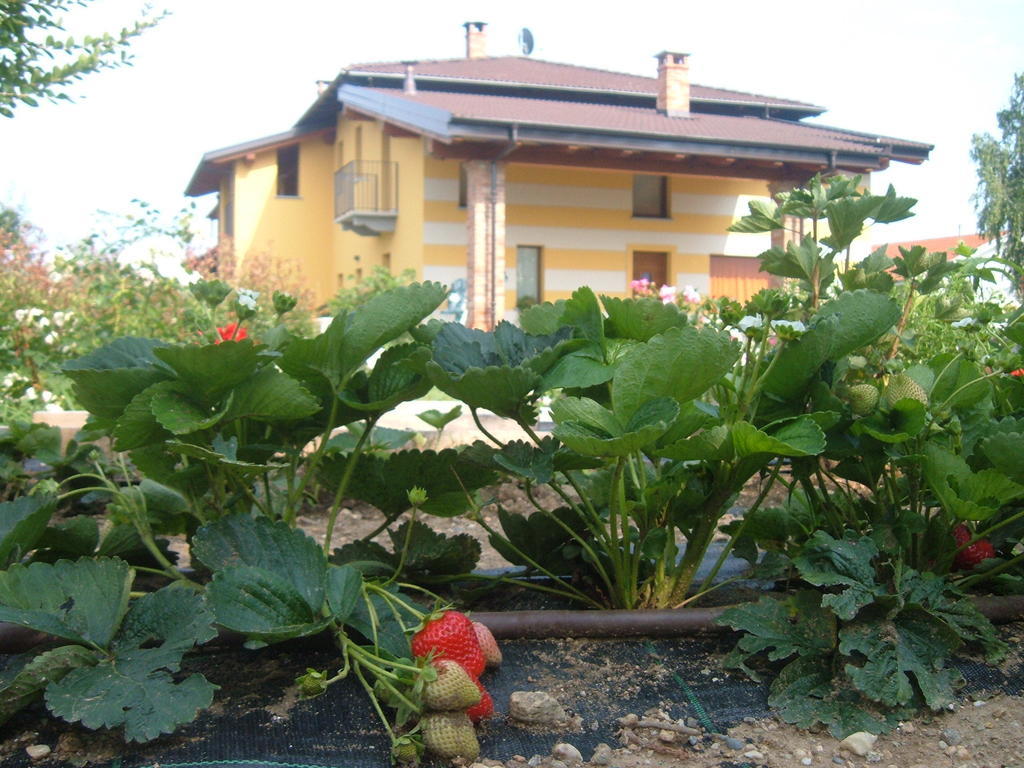 Agriturismo Fior Di Campo Dronero Exterior photo